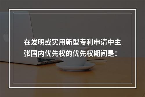 在发明或实用新型专利申请中主张国内优先权的优先权期间是：