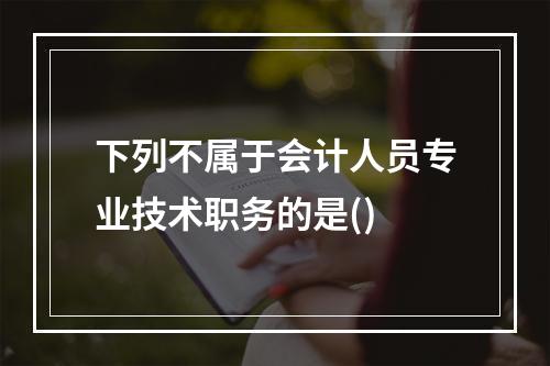 下列不属于会计人员专业技术职务的是()