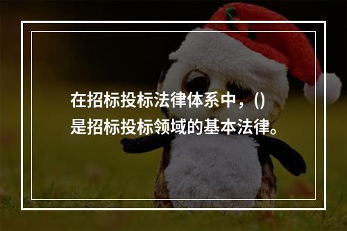 在招标投标法律体系中，()是招标投标领域的基本法律。