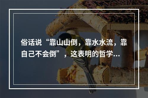 俗话说“靠山山倒，靠水水流，靠自己不会倒”，这表明的哲学原理