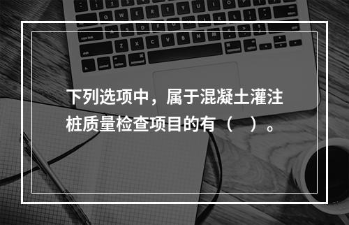 下列选项中，属于混凝土灌注桩质量检查项目的有（　）。