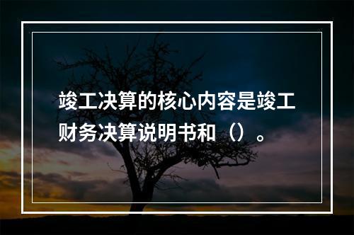 竣工决算的核心内容是竣工财务决算说明书和（）。