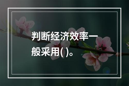 判断经济效率一般采用( )。