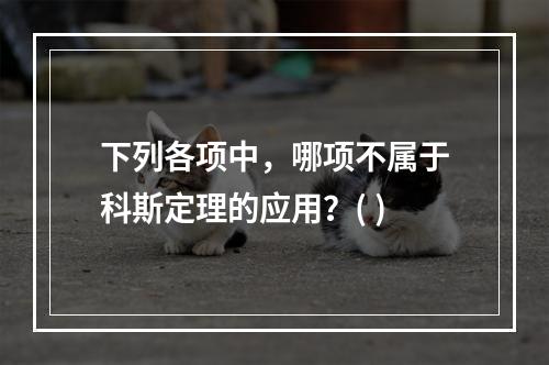 下列各项中，哪项不属于科斯定理的应用？( )