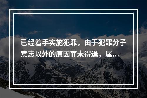 已经着手实施犯罪，由于犯罪分子意志以外的原因而未得逞，属于(