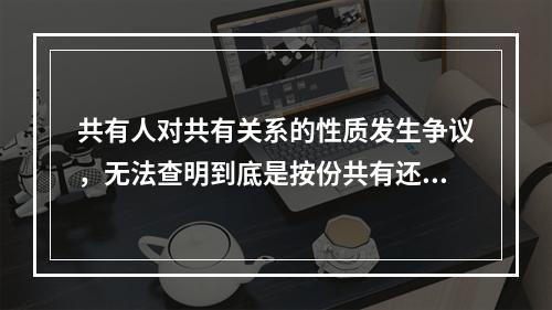 共有人对共有关系的性质发生争议，无法查明到底是按份共有还是共