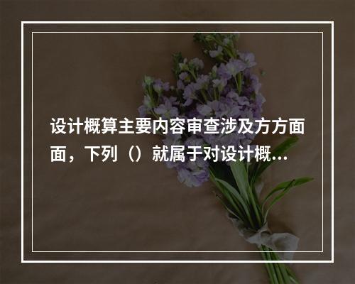 设计概算主要内容审查涉及方方面面，下列（）就属于对设计概算主