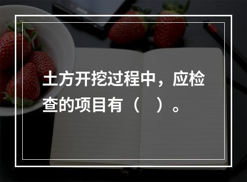 土方开挖过程中，应检查的项目有（　）。