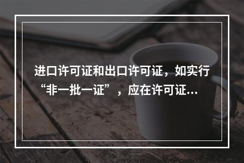 进口许可证和出口许可证，如实行“非一批一证”，应在许可证的备