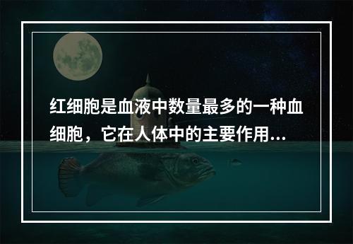 红细胞是血液中数量最多的一种血细胞，它在人体中的主要作用是(