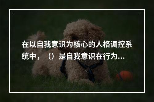 在以自我意识为核心的人格调控系统中，（）是自我意识在行为上的