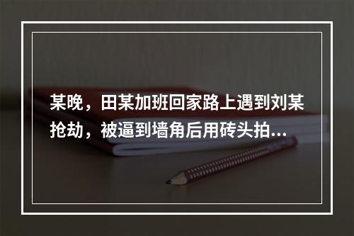 某晚，田某加班回家路上遇到刘某抢劫，被逼到墙角后用砖头拍在刘