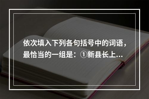 依次填入下列各句括号中的词语，最恰当的一组是：①新县长上任后