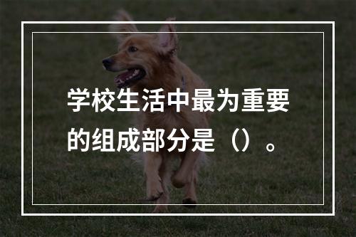 学校生活中最为重要的组成部分是（）。