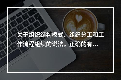 关于组织结构模式、组织分工和工作流程组织的说法，正确的有（　