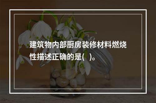 建筑物内部厨房装修材料燃烧性描述正确的是(   )。