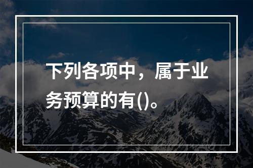 下列各项中，属于业务预算的有()。