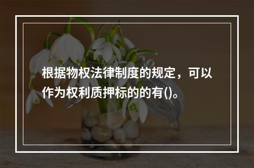 根据物权法律制度的规定，可以作为权利质押标的的有()。