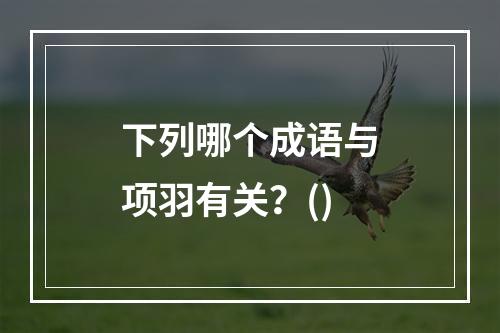 下列哪个成语与项羽有关？()