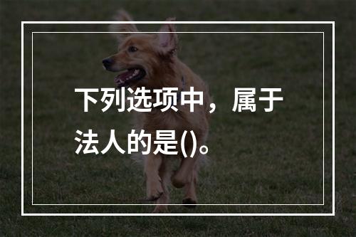 下列选项中，属于法人的是()。