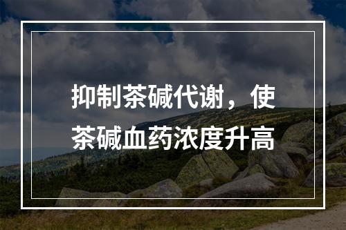 抑制茶碱代谢，使茶碱血药浓度升高