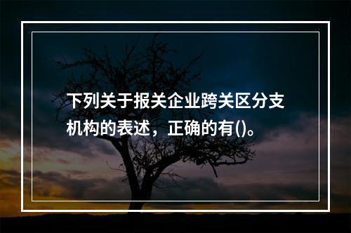 下列关于报关企业跨关区分支机构的表述，正确的有()。