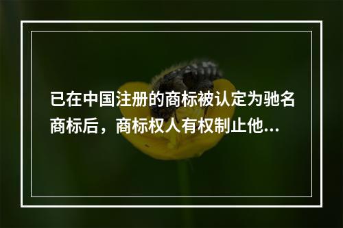 已在中国注册的商标被认定为驰名商标后，商标权人有权制止他人（