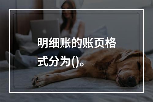 明细账的账页格式分为()。