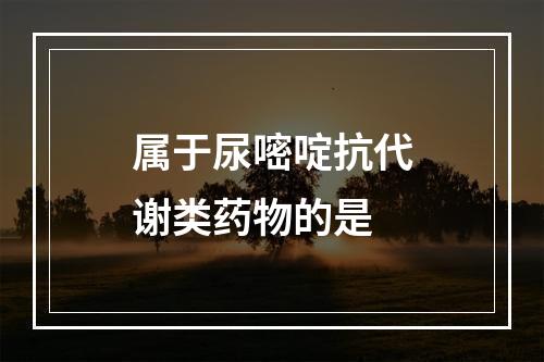 属于尿嘧啶抗代谢类药物的是