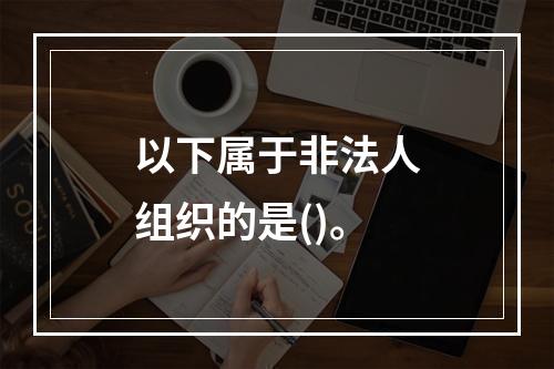 以下属于非法人组织的是()。