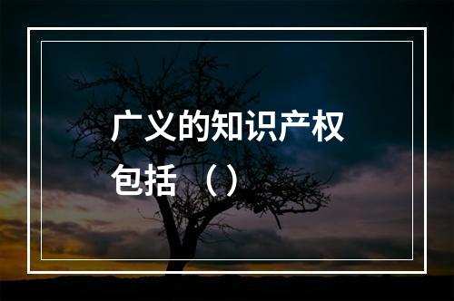 广义的知识产权包括 （ ）