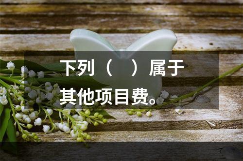 下列（　）属于其他项目费。