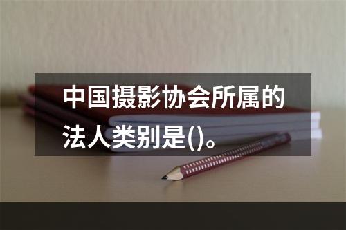 中国摄影协会所属的法人类别是()。