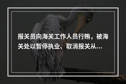 报关员向海关工作人员行贿，被海关处以暂停执业、取消报关从业资