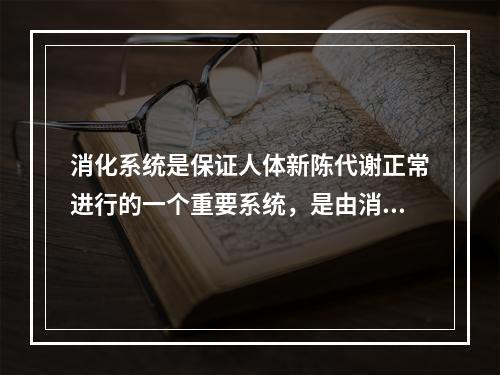 消化系统是保证人体新陈代谢正常进行的一个重要系统，是由消化管