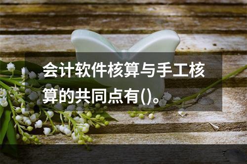 会计软件核算与手工核算的共同点有()。