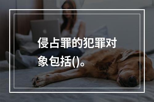 侵占罪的犯罪对象包括()。