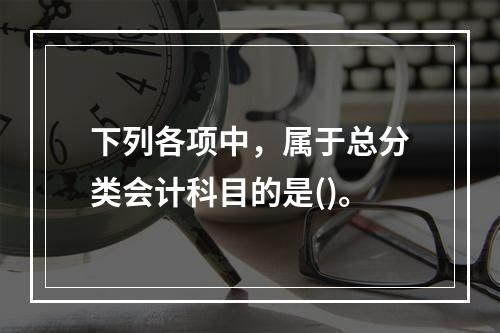 下列各项中，属于总分类会计科目的是()。