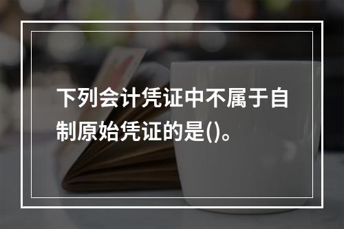 下列会计凭证中不属于自制原始凭证的是()。