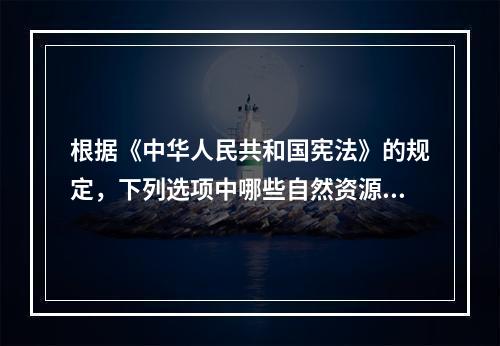 根据《中华人民共和国宪法》的规定，下列选项中哪些自然资源不能