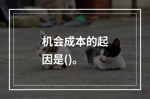 机会成本的起因是()。