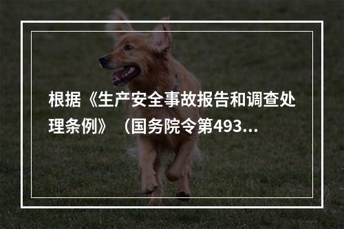 根据《生产安全事故报告和调查处理条例》（国务院令第493号）