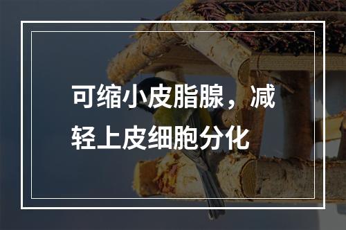 可缩小皮脂腺，减轻上皮细胞分化