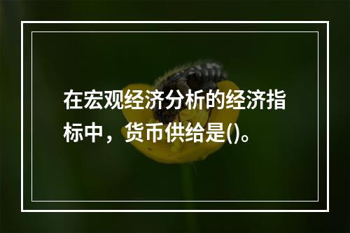 在宏观经济分析的经济指标中，货币供给是()。