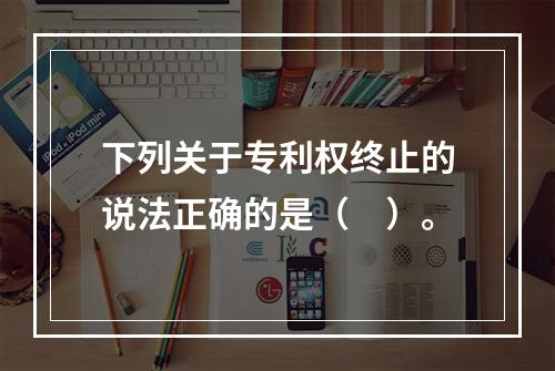 下列关于专利权终止的说法正确的是（　）。