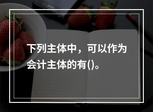 下列主体中，可以作为会计主体的有()。