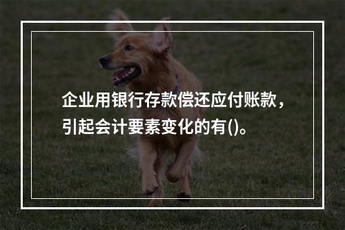 企业用银行存款偿还应付账款，引起会计要素变化的有()。