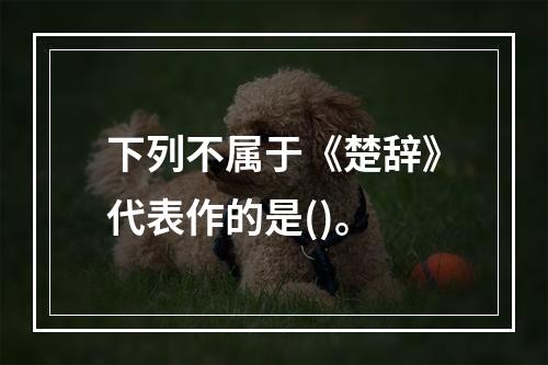 下列不属于《楚辞》代表作的是()。