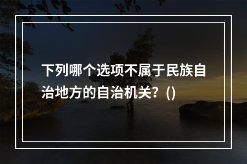 下列哪个选项不属于民族自治地方的自治机关？()