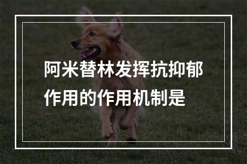 阿米替林发挥抗抑郁作用的作用机制是